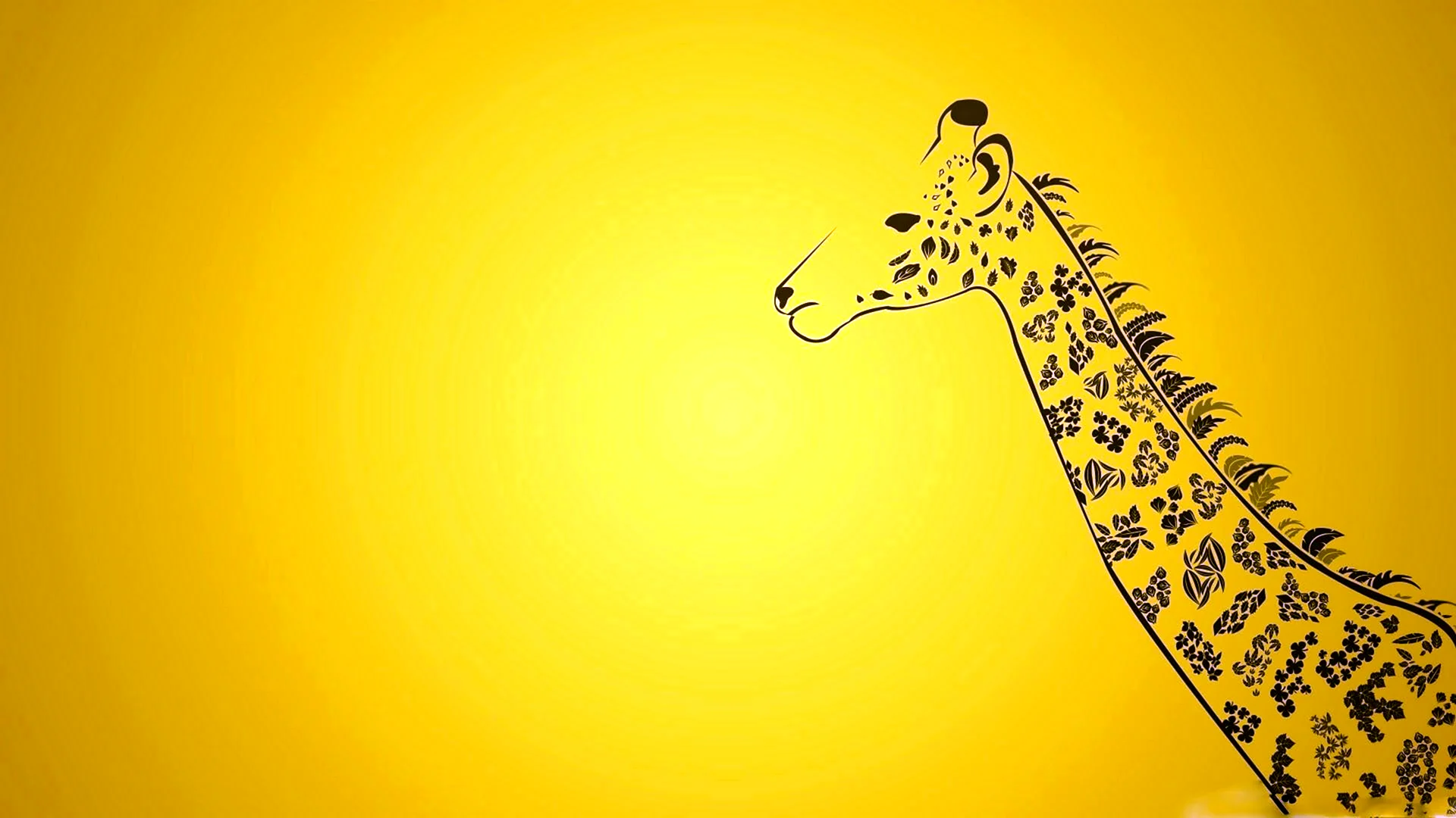 Обои с жирафами