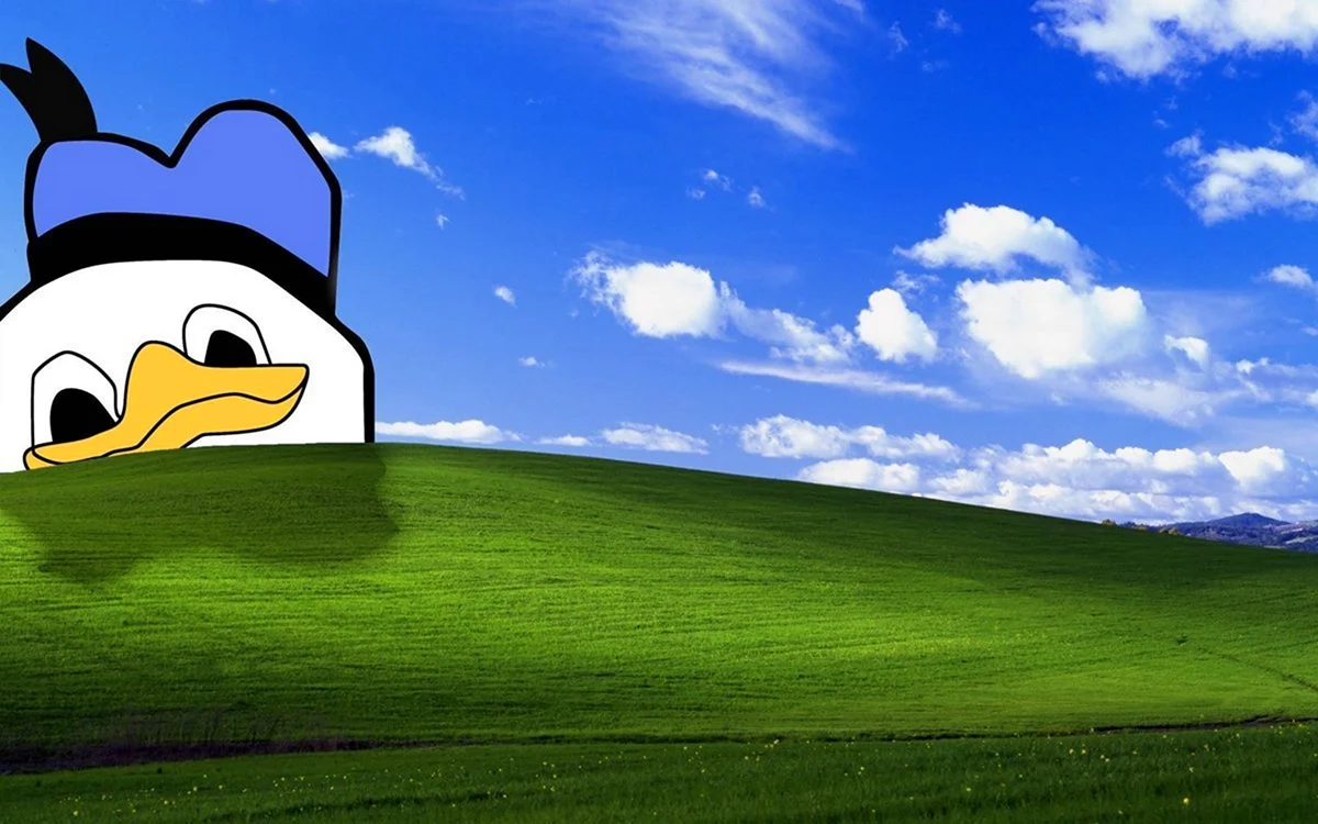 Обои Windows XP