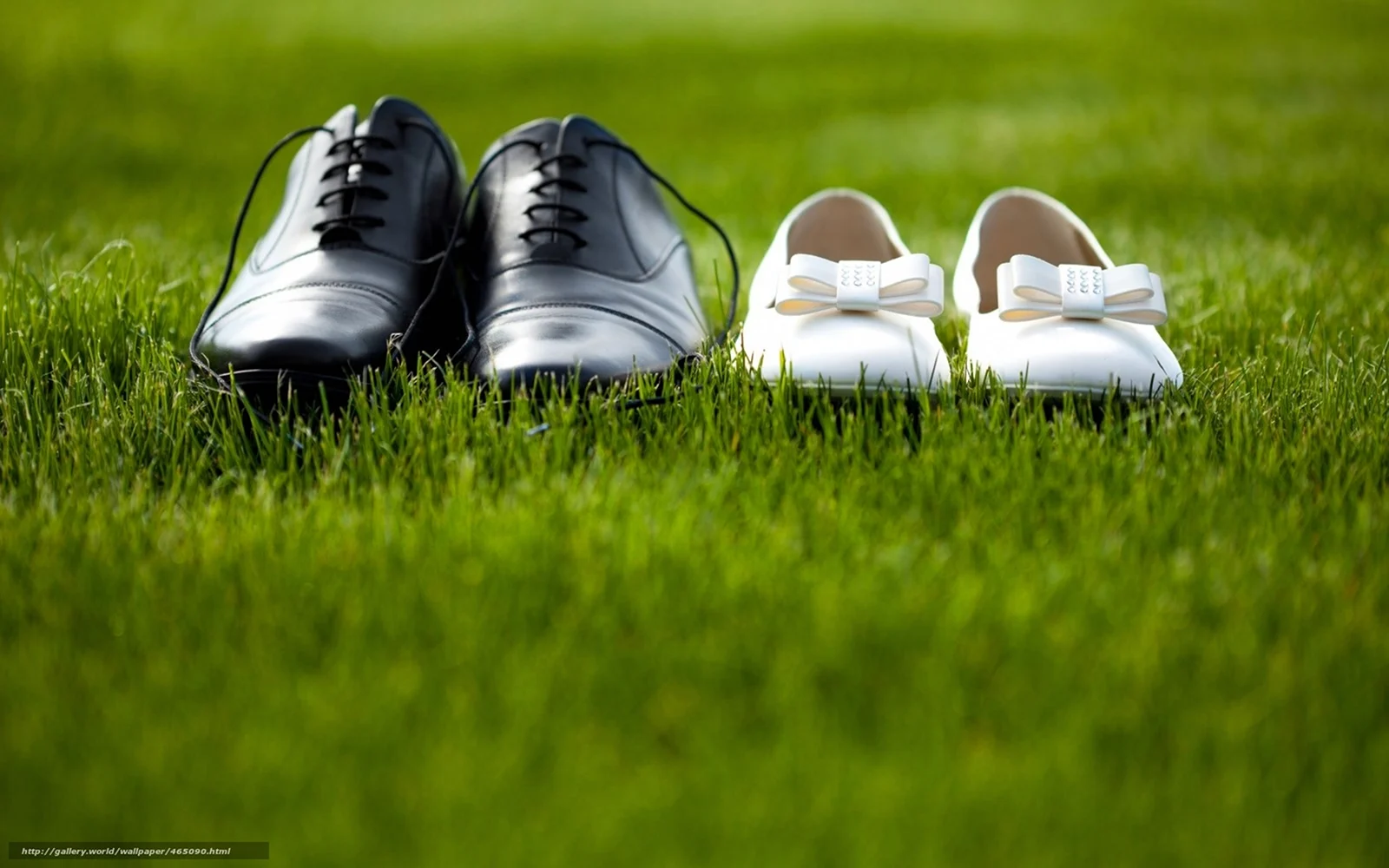 Обувь на траве