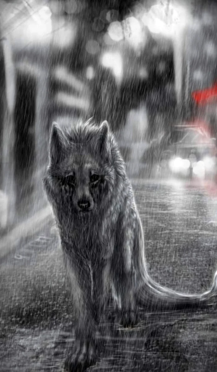 Одиночество волк