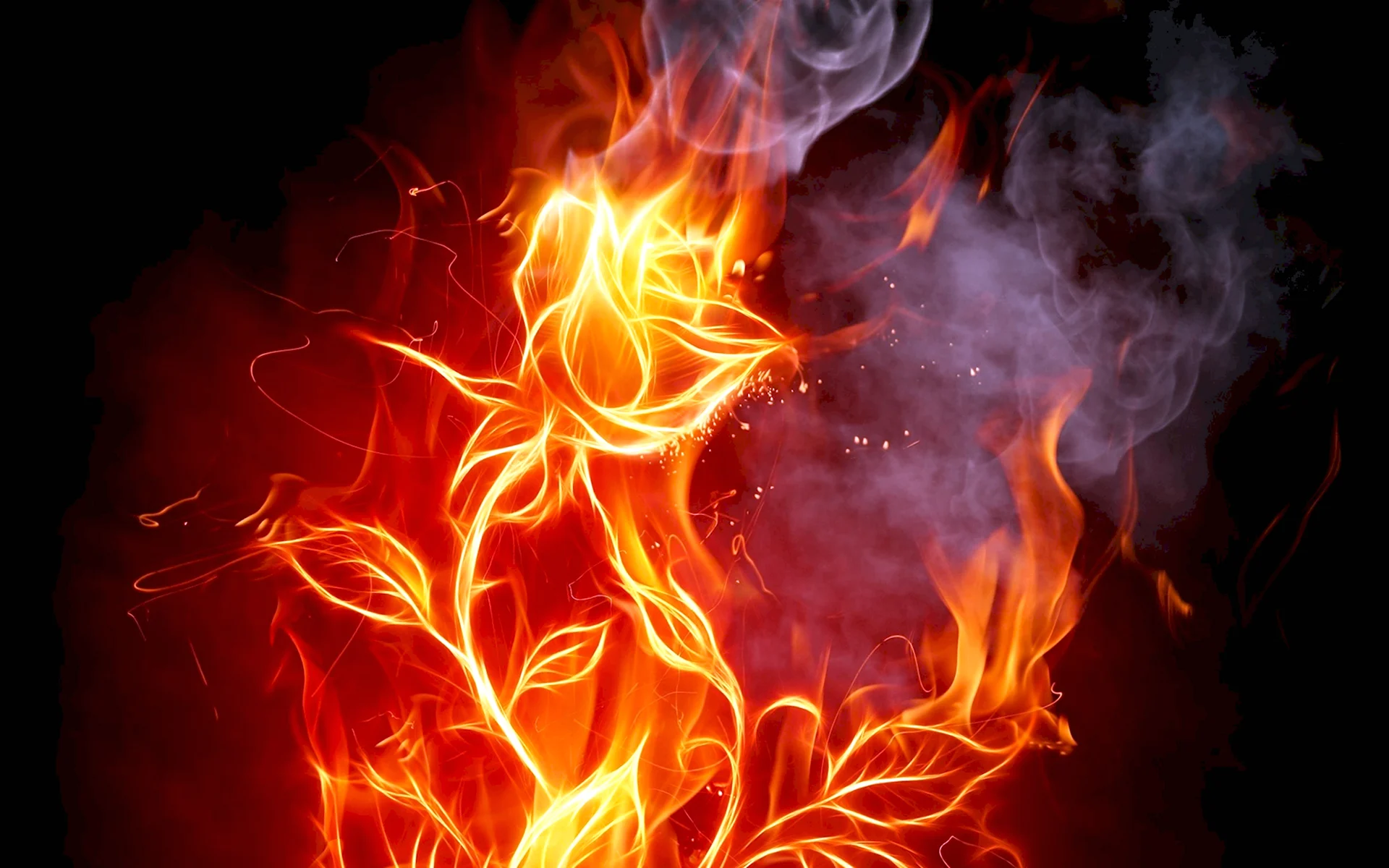 Огненный цветок Геншин