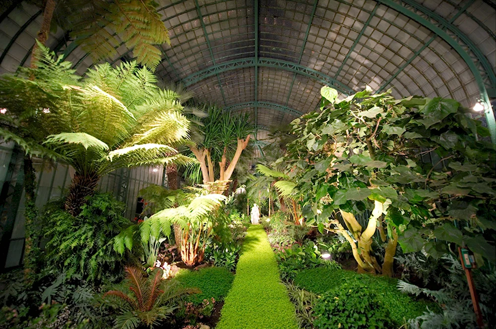 Оранжерея Ботанический зимний сад