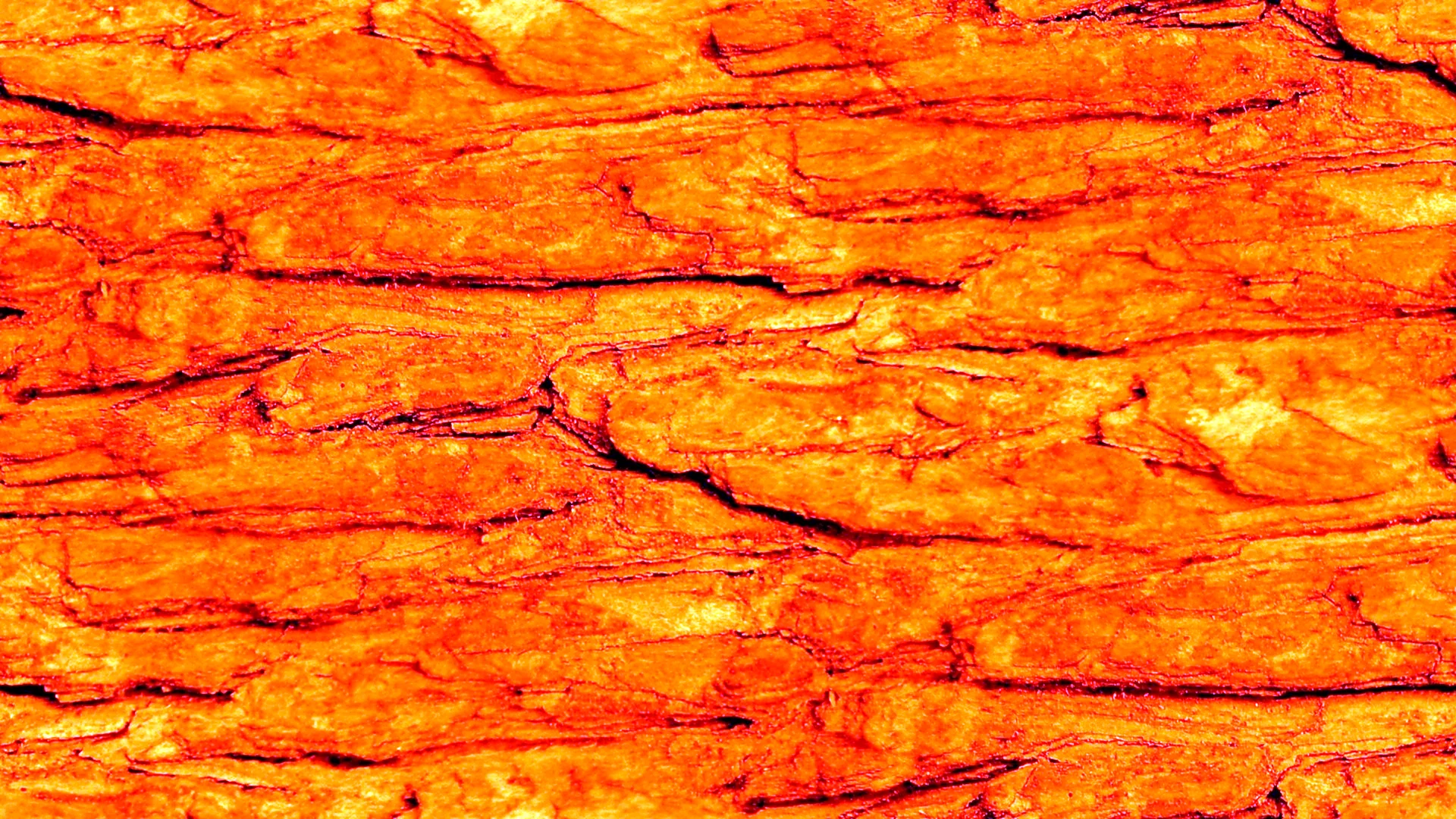 Оранжевый камень текстура