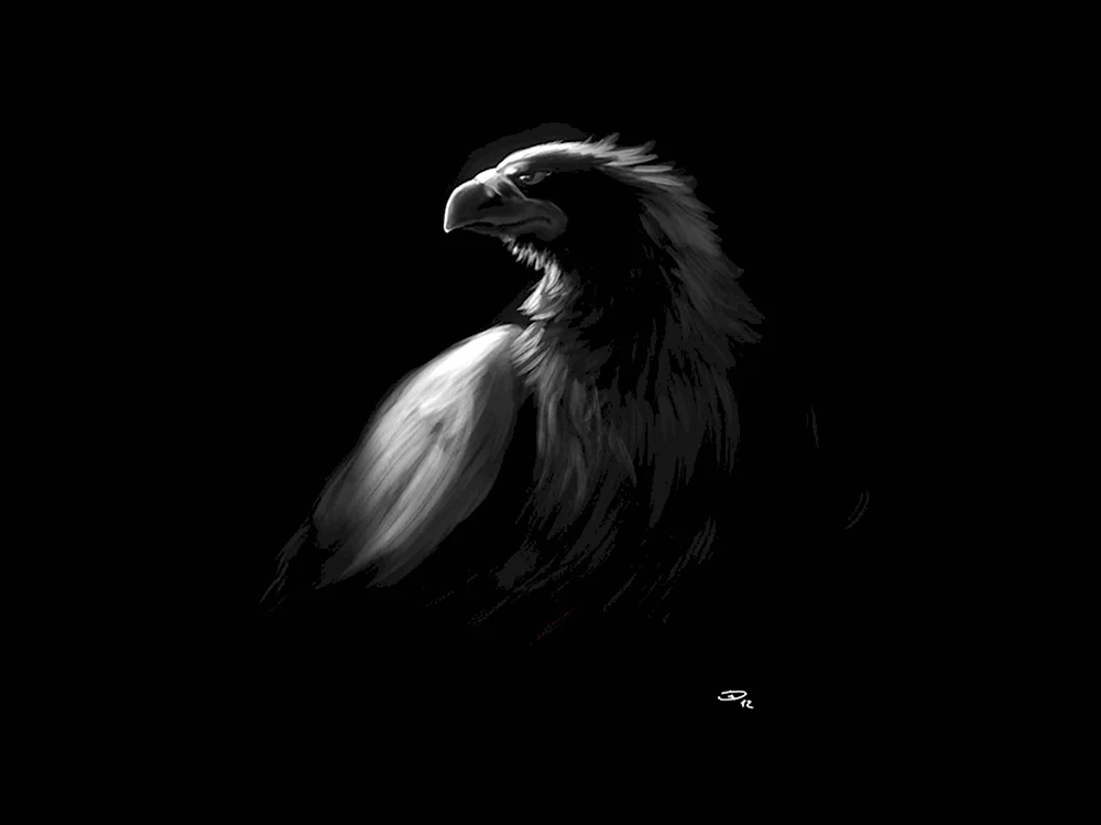 Орел на черном фоне