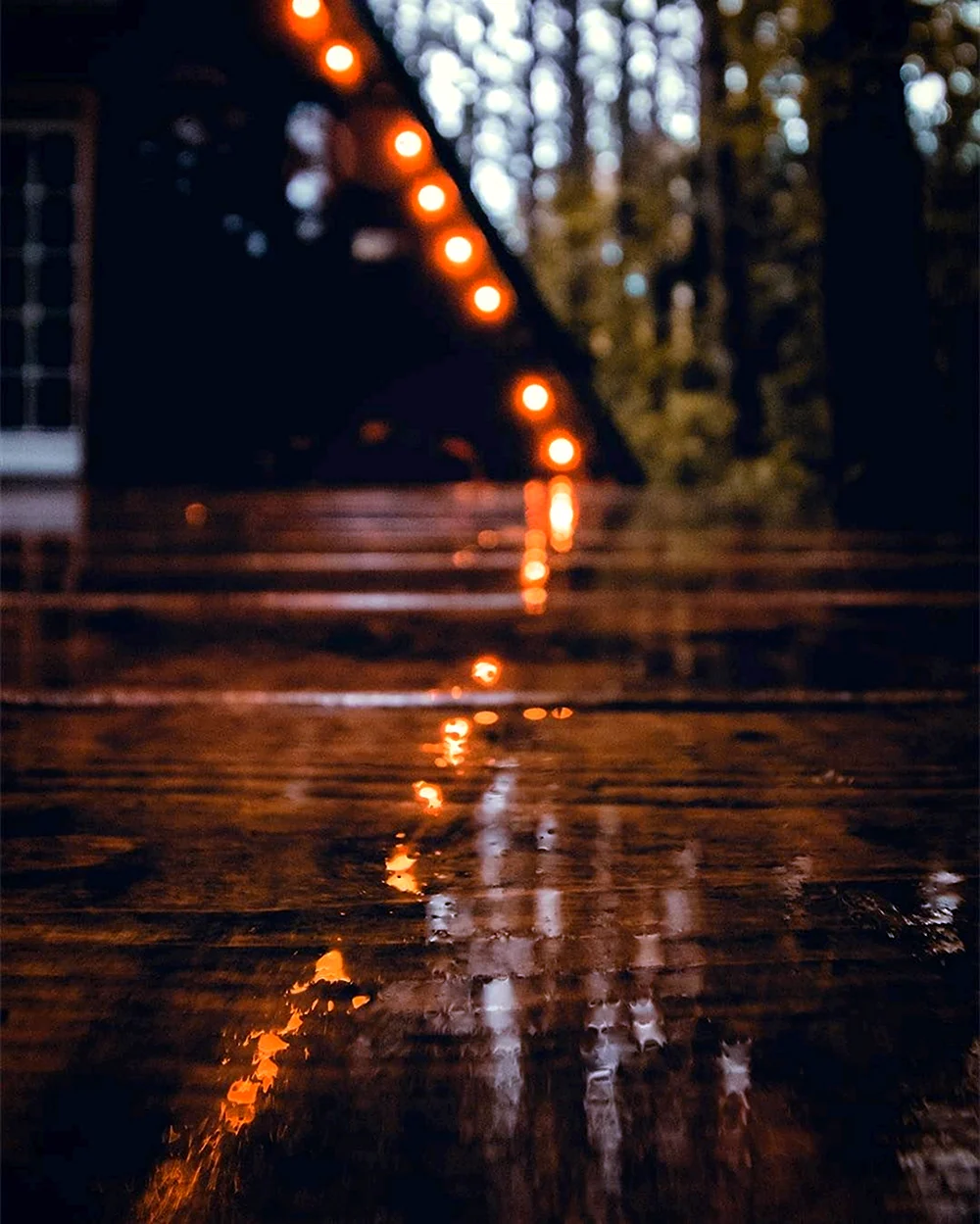 Осень Эстетика дождь