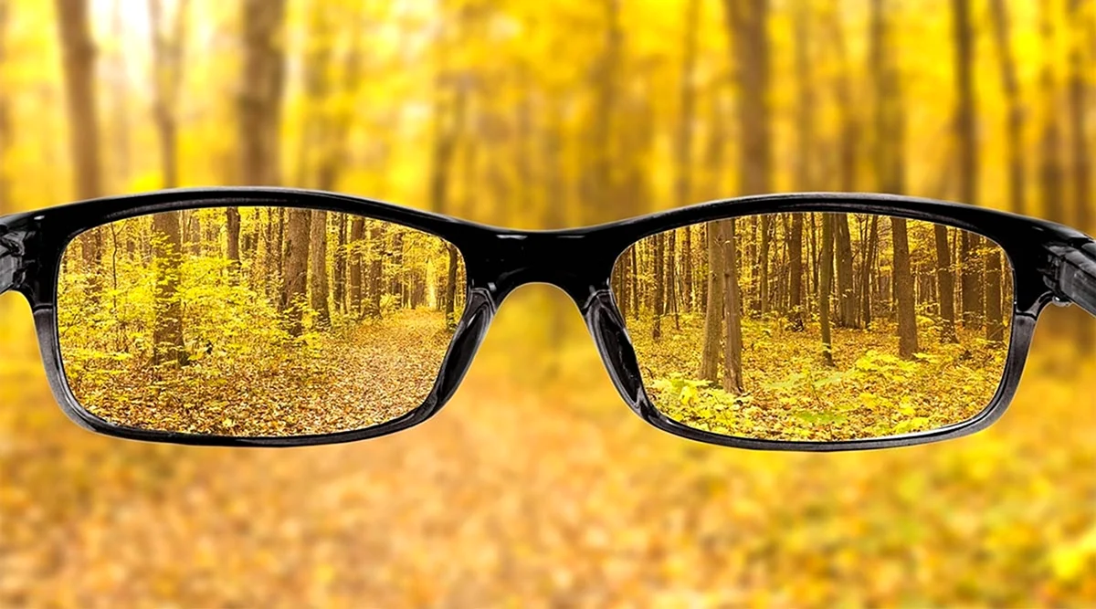 Осень очки