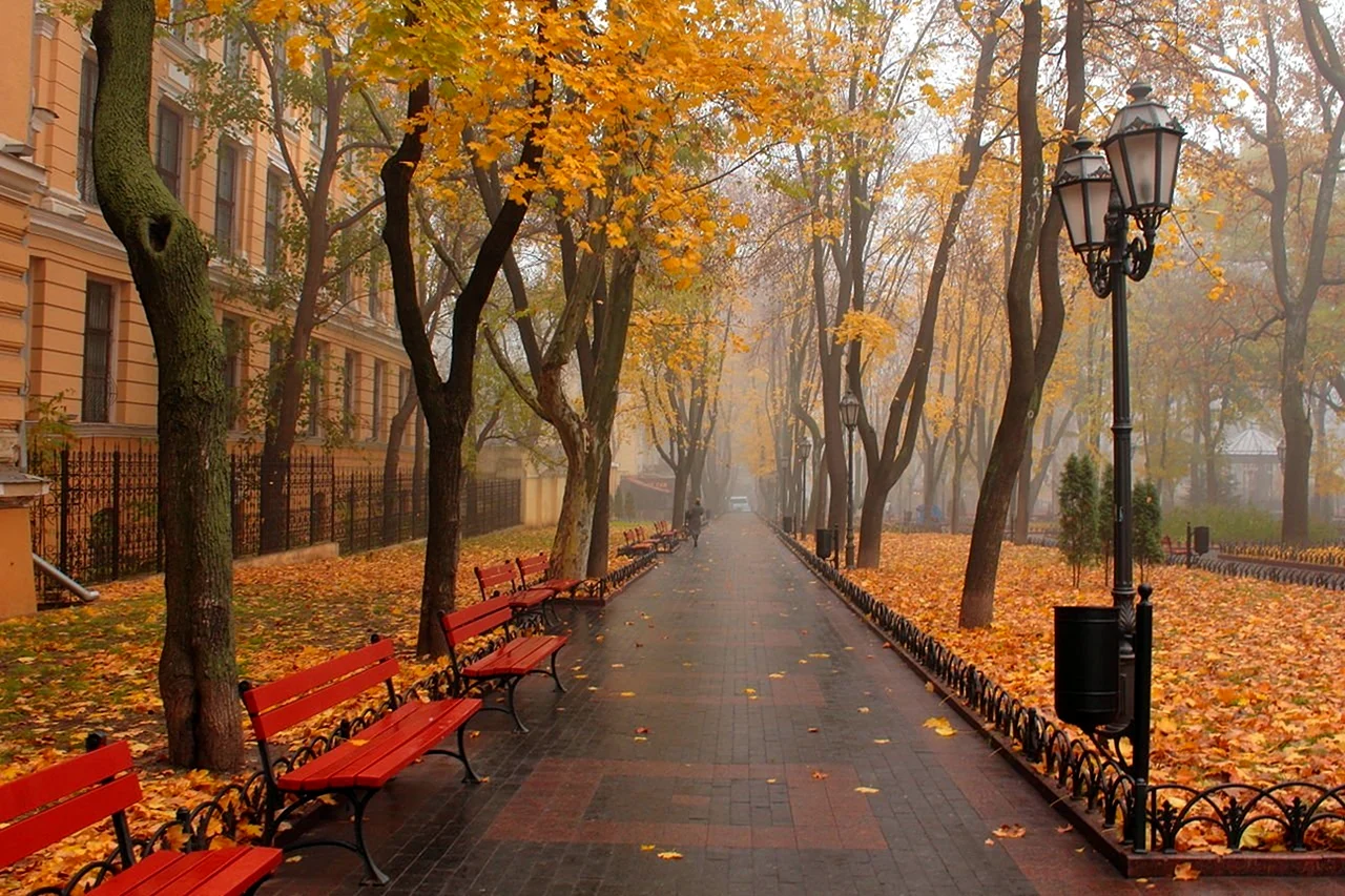 Осень парк Одесса