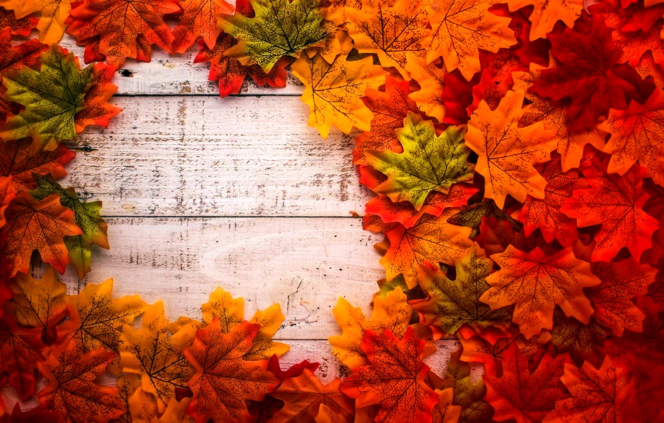 Осенние листья фон