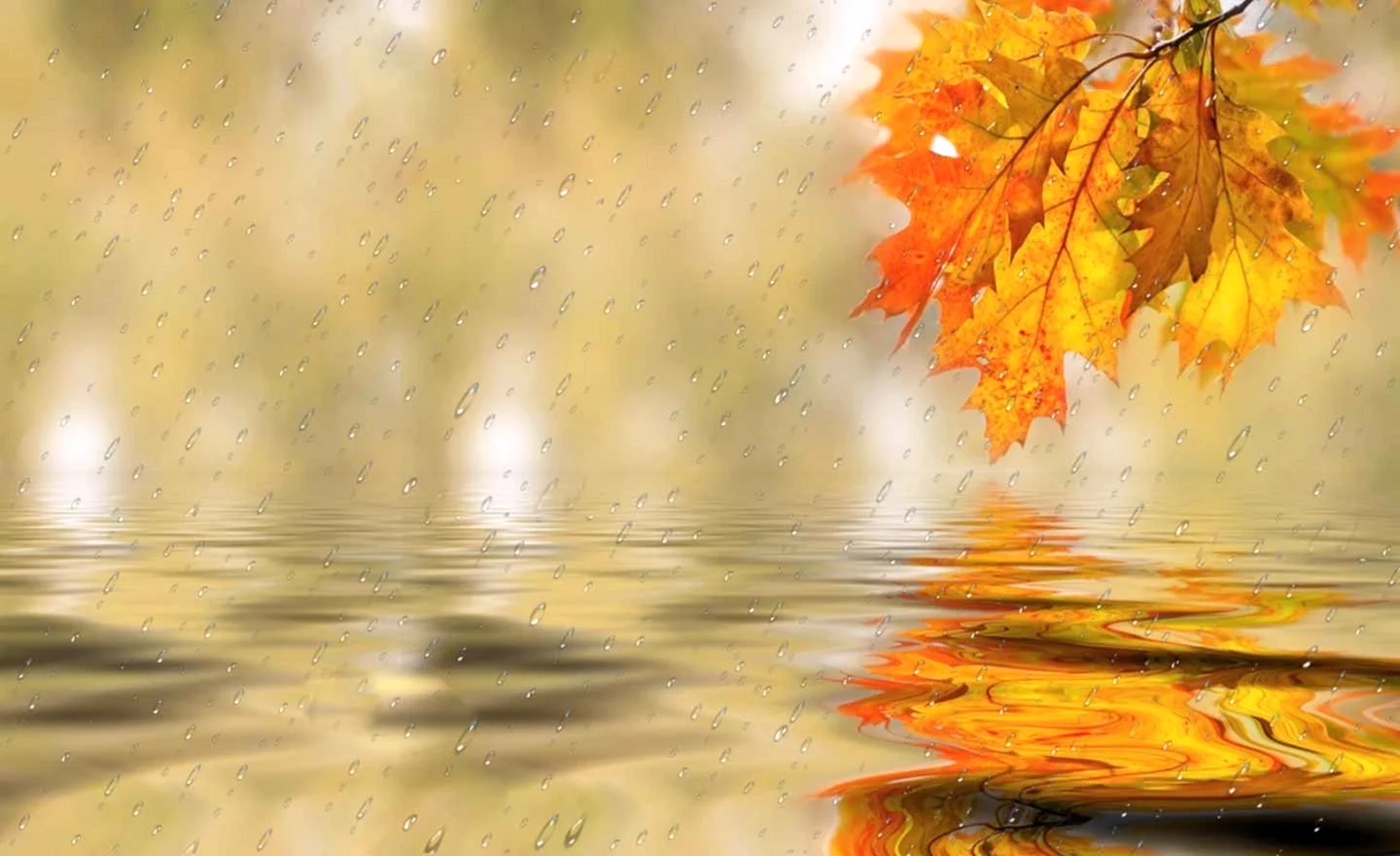 Осенний дождливый фон