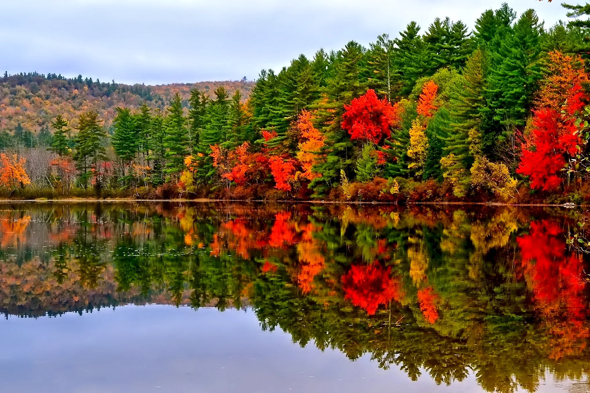 Осенний лес с озером