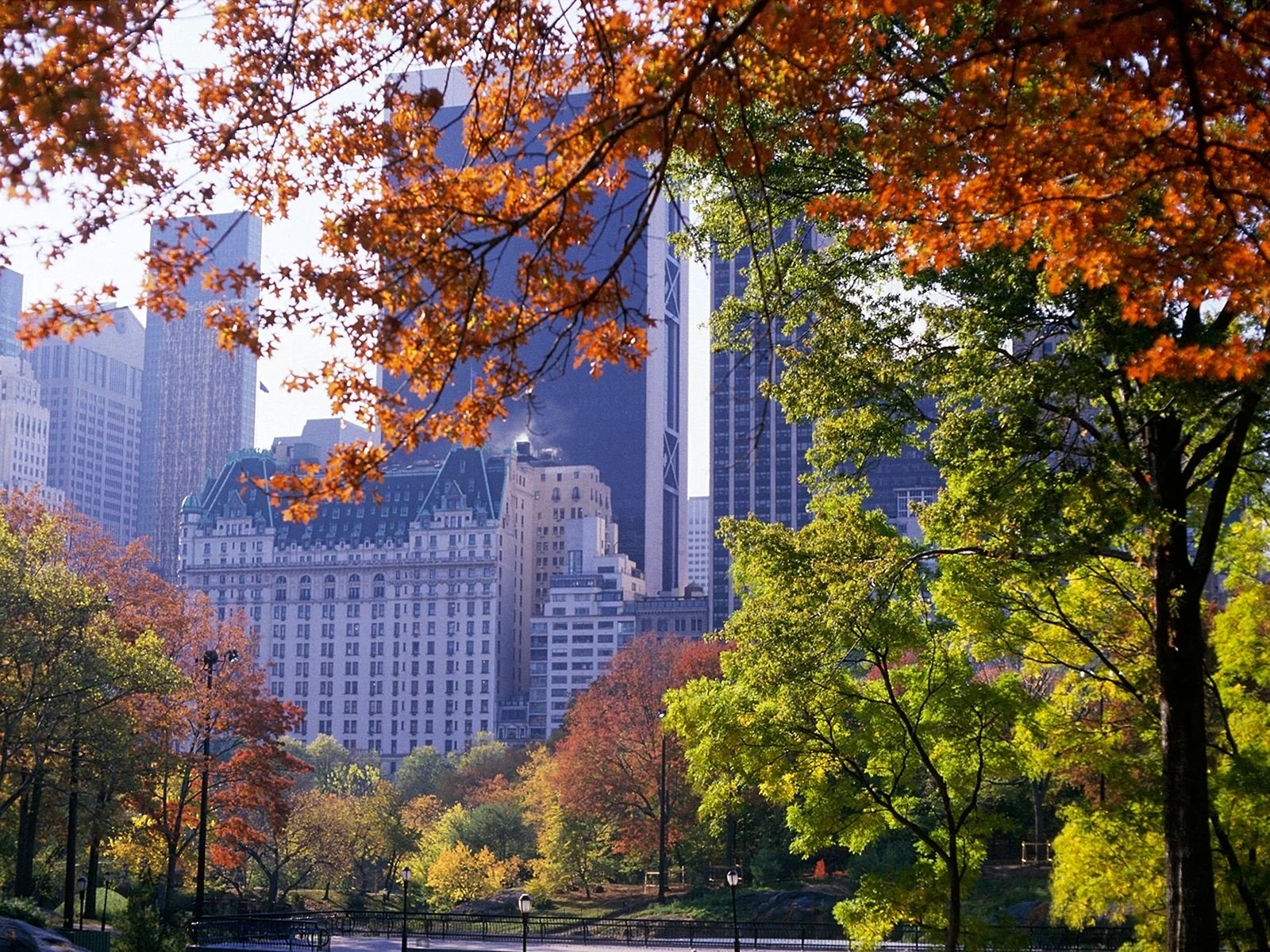 Осенний Центральный парк Нью-Йорка