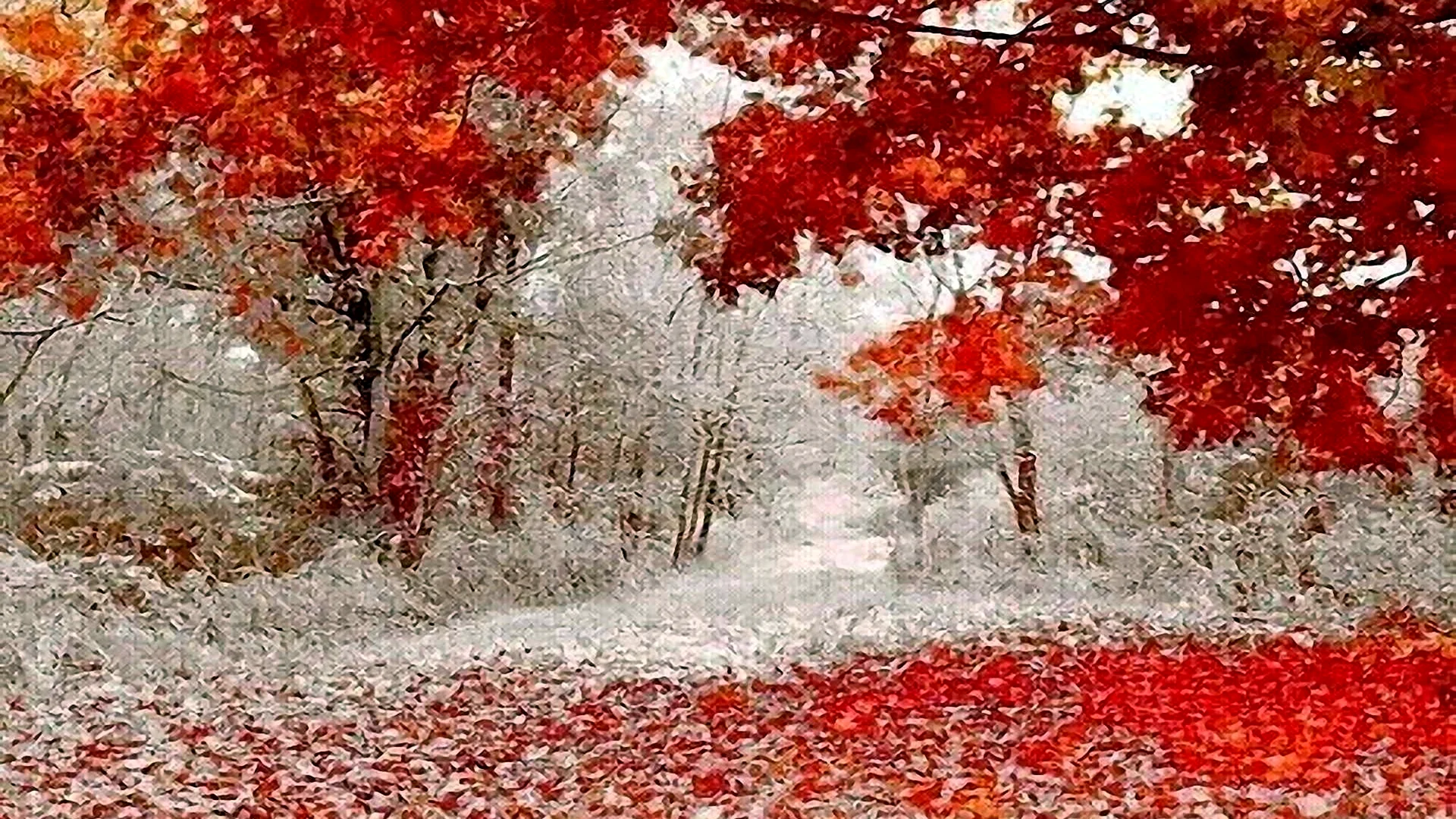 Осень-зима листва