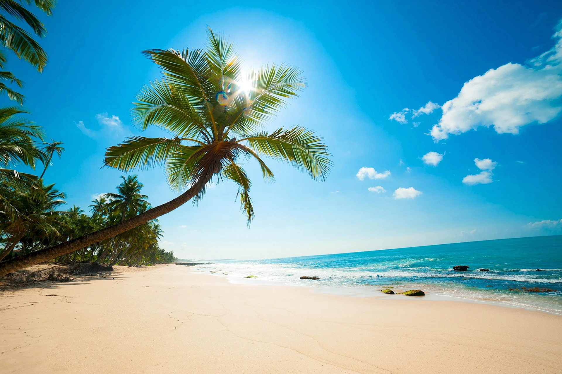 Пальмы солнце пляж