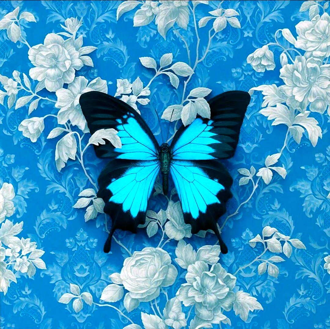 Патрик Крамер художник бабочки