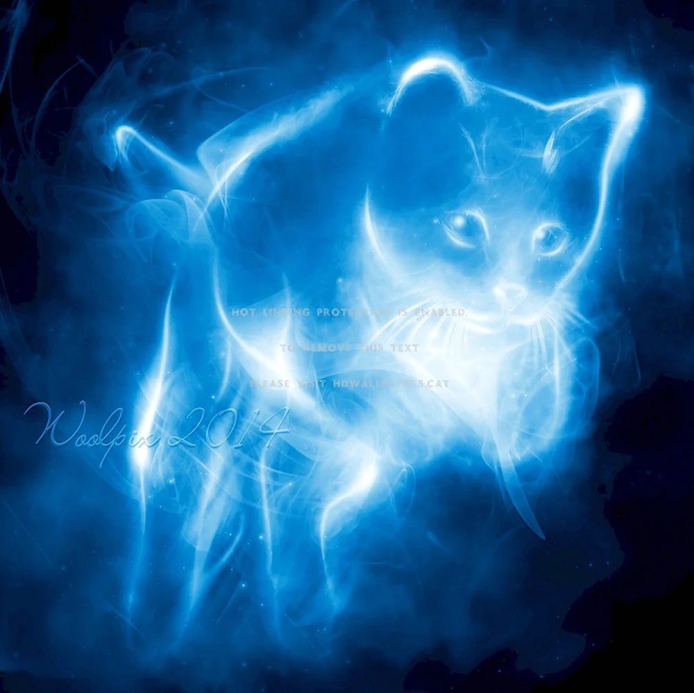Патронус кошка Гарри Поттер