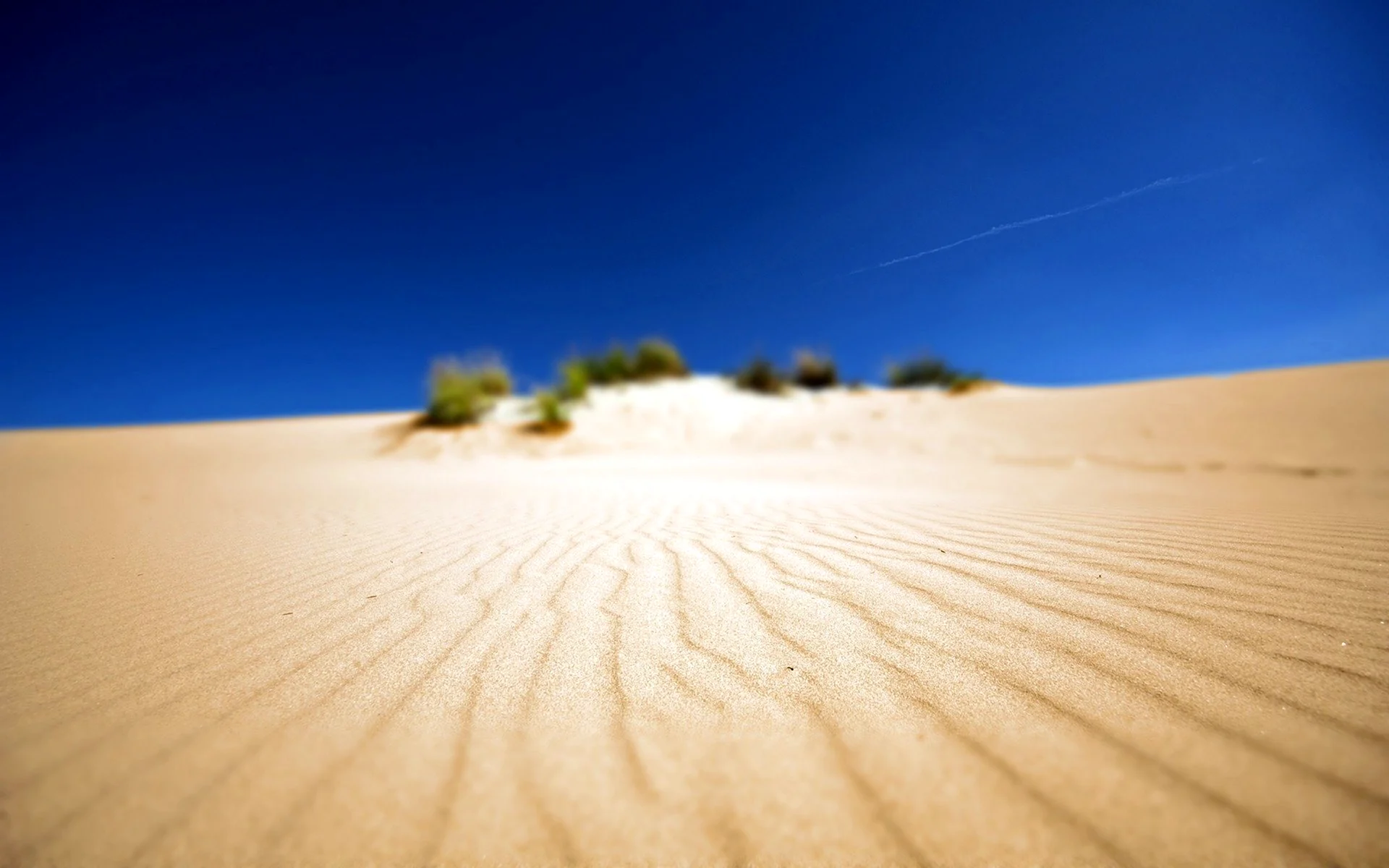Песчаная пустыня Рмель-Эль-Абиод