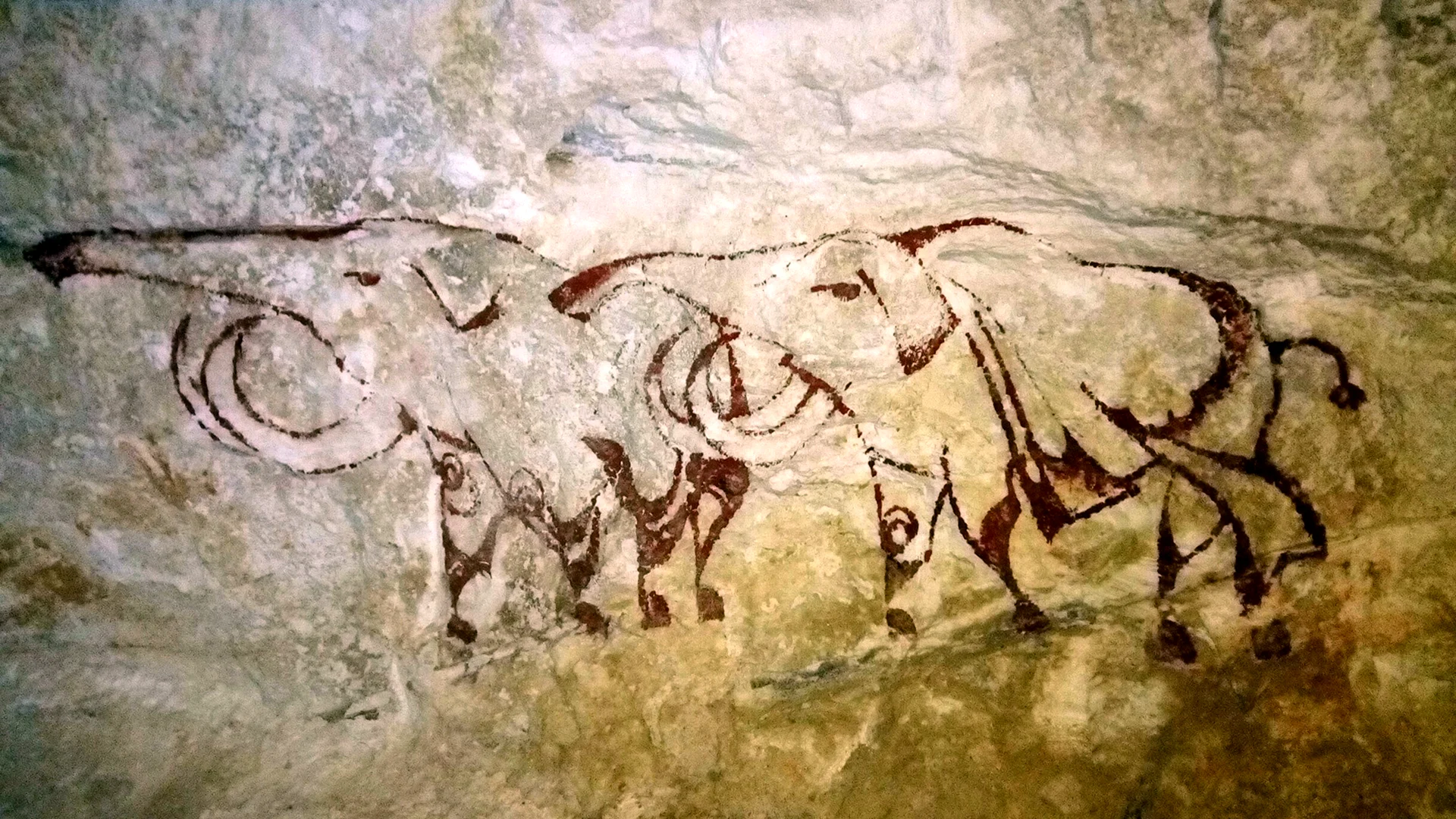 Пещера Ласко мамонты