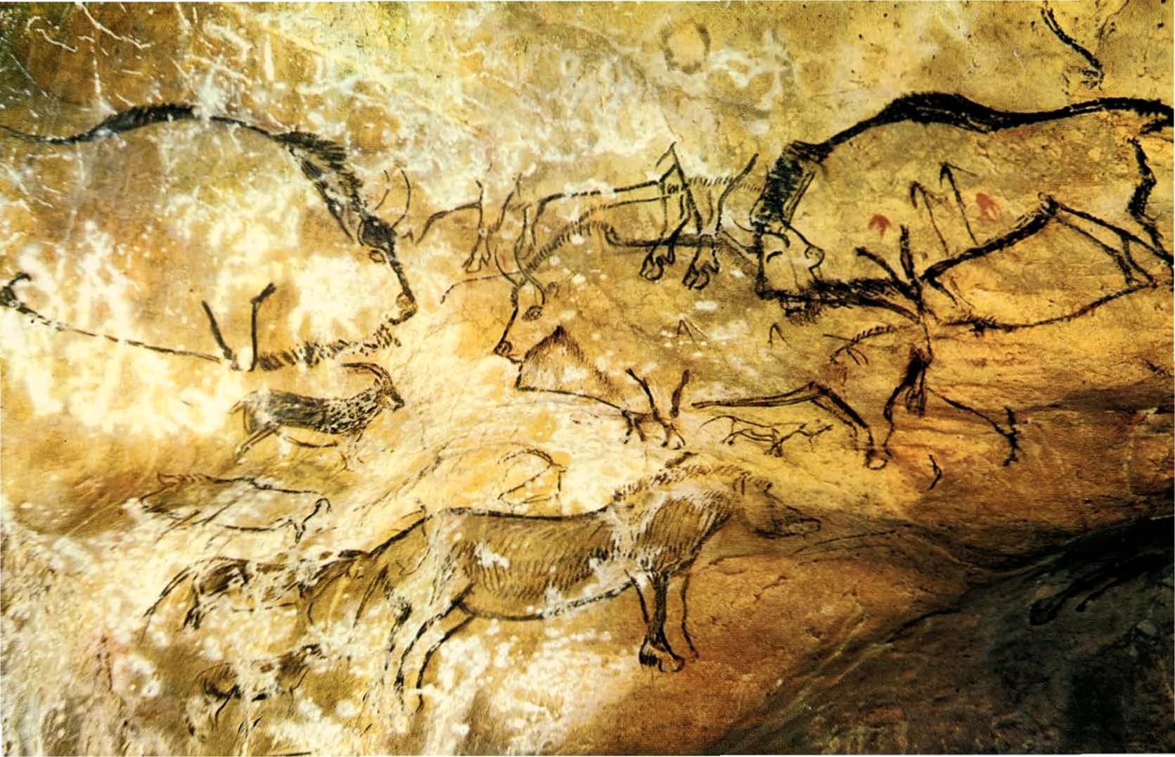 Пещера НИО