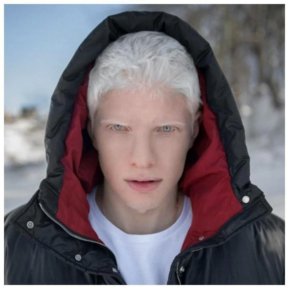 Певец альбинос бера