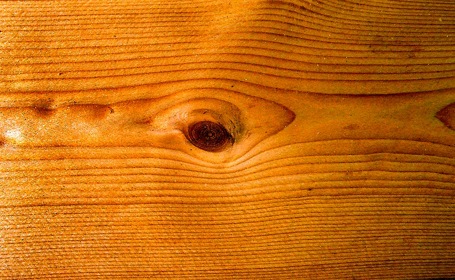 Пихта текстура древесины