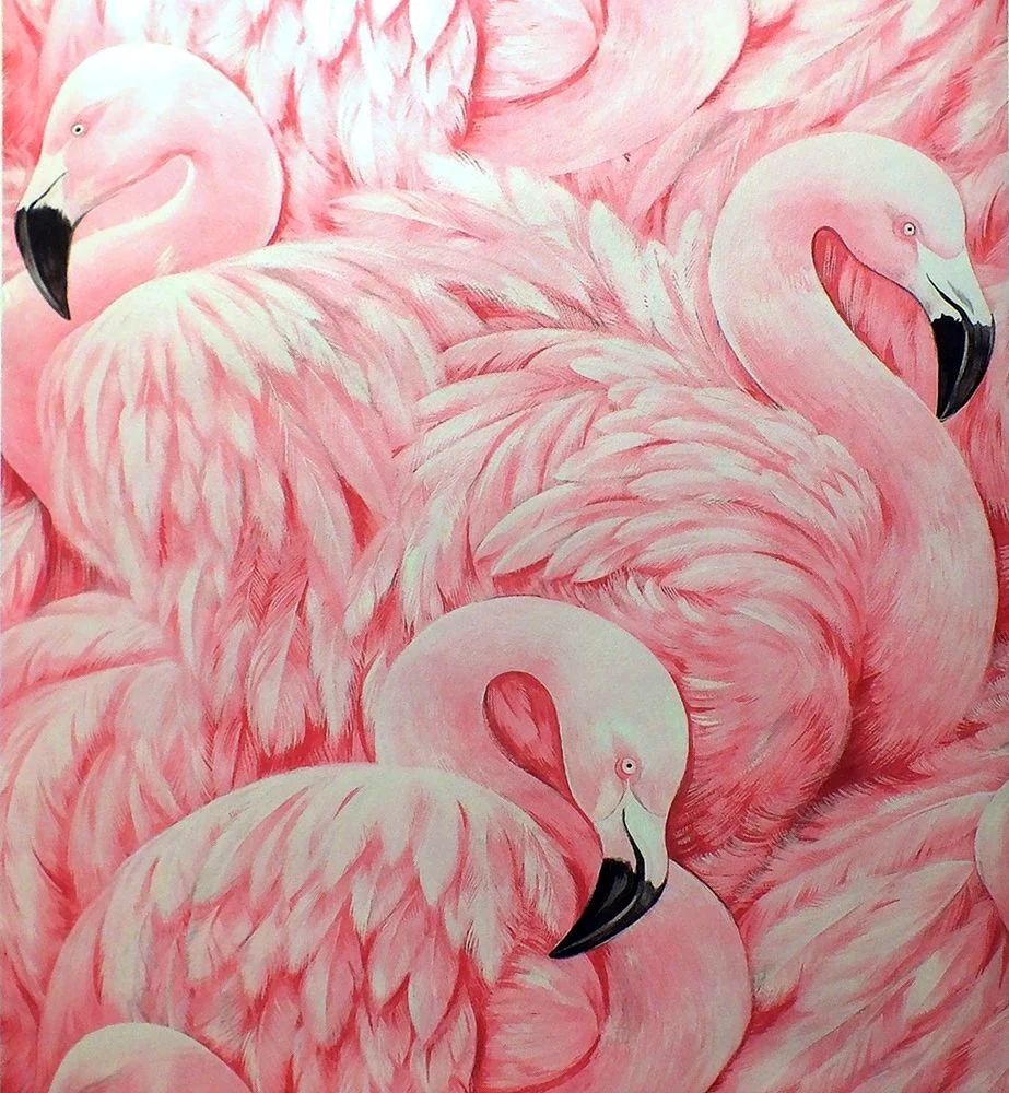 Pink Flamingo Wallpaper Rasch 277890