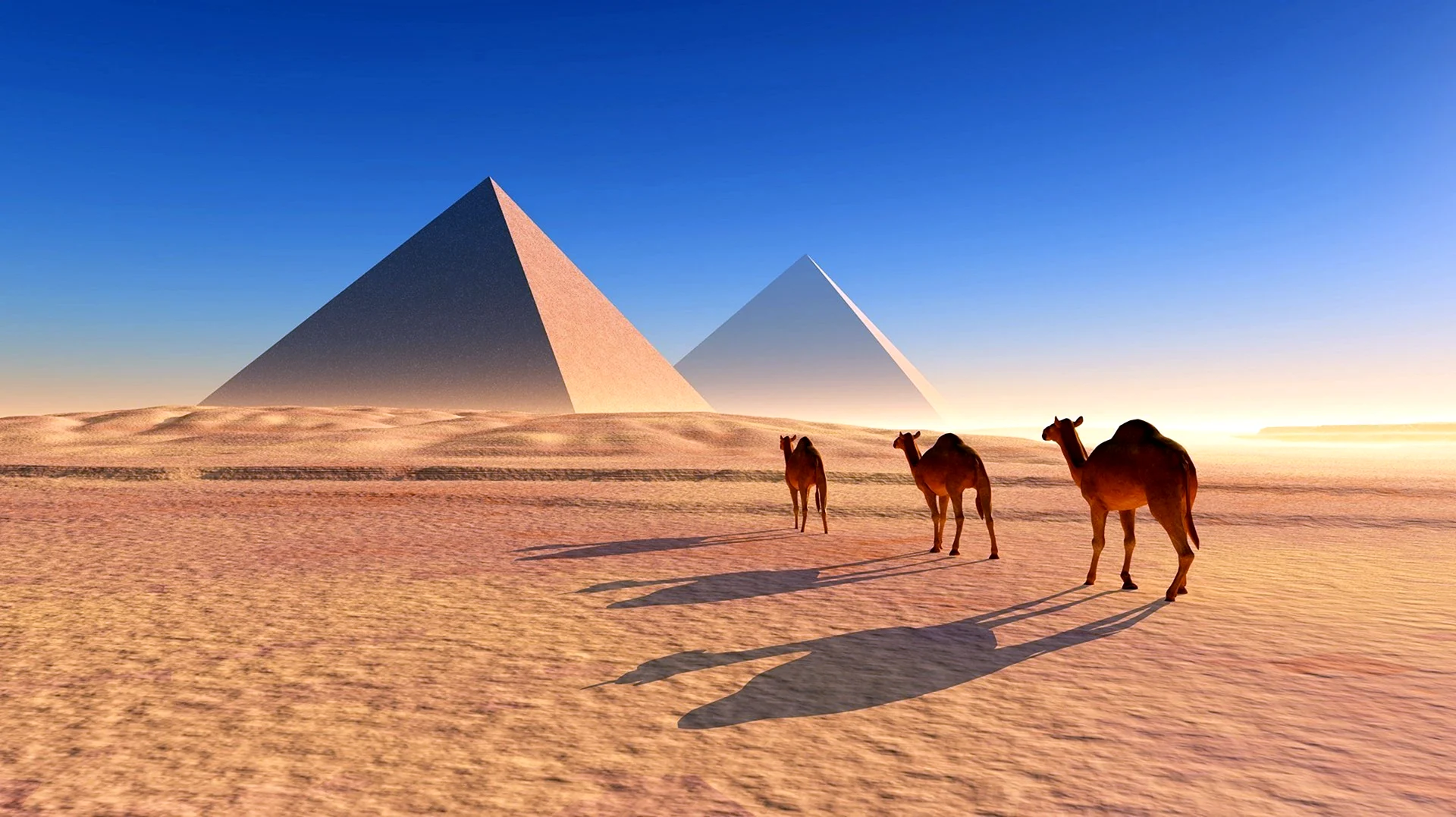Пирамиды древнего Египта с верблюдом