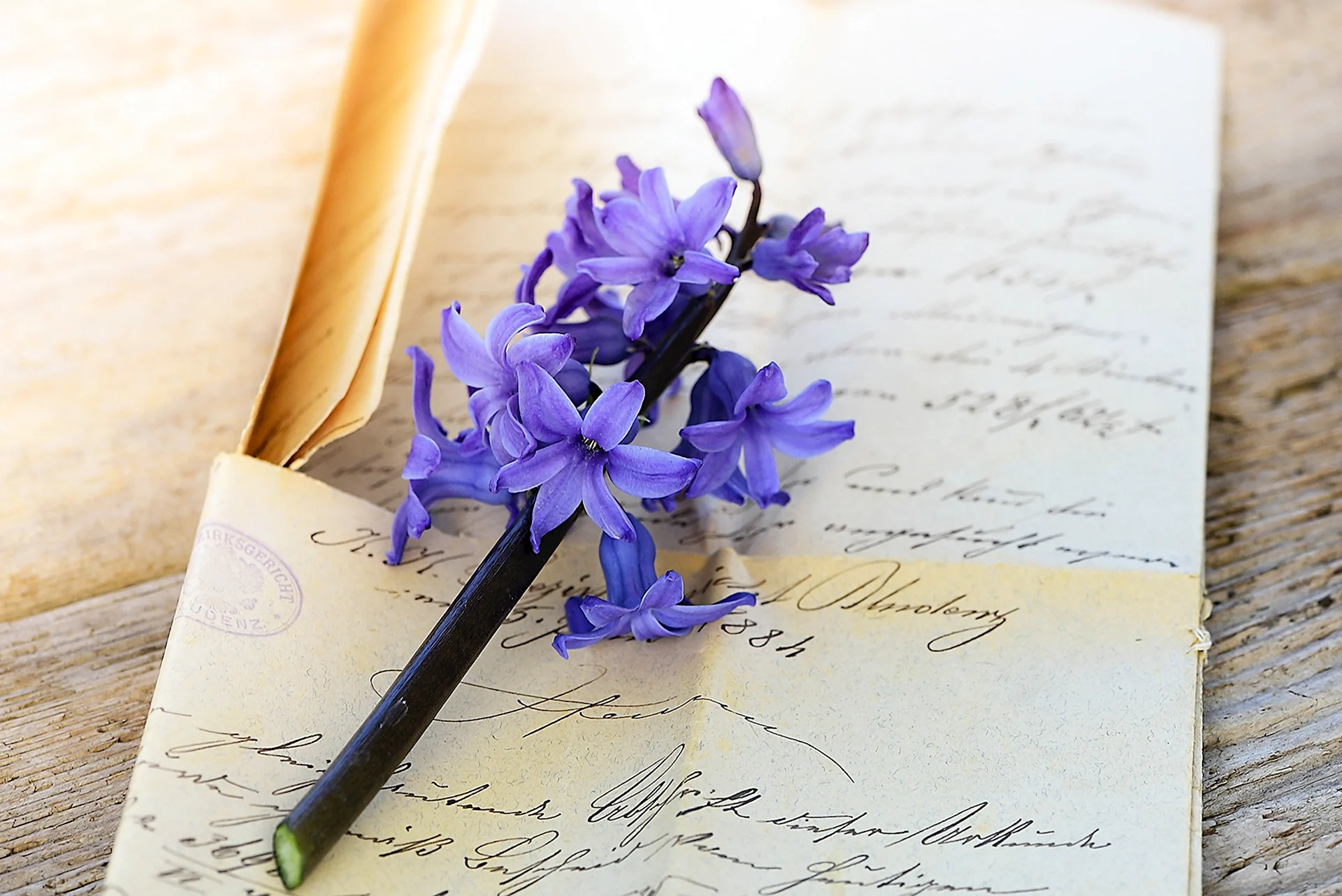 Письмо и цветы