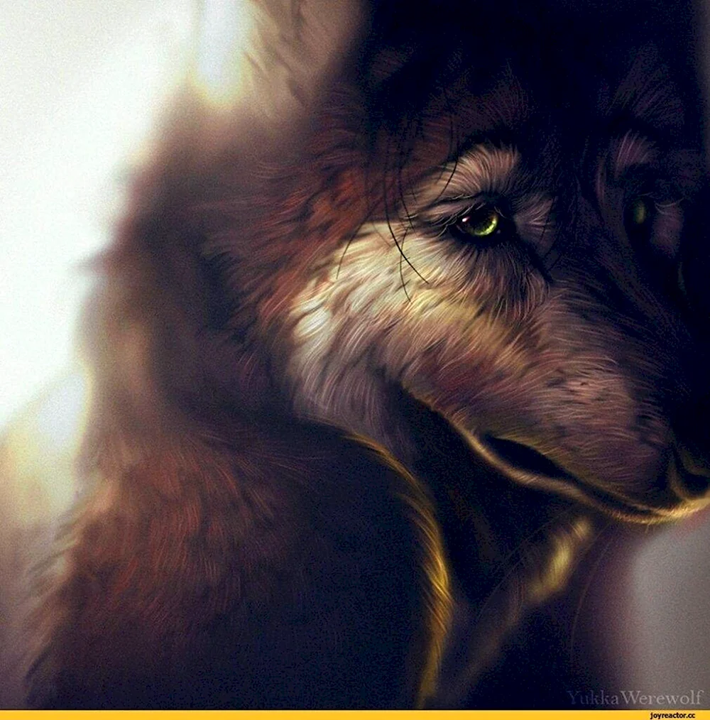 Плачущий волк