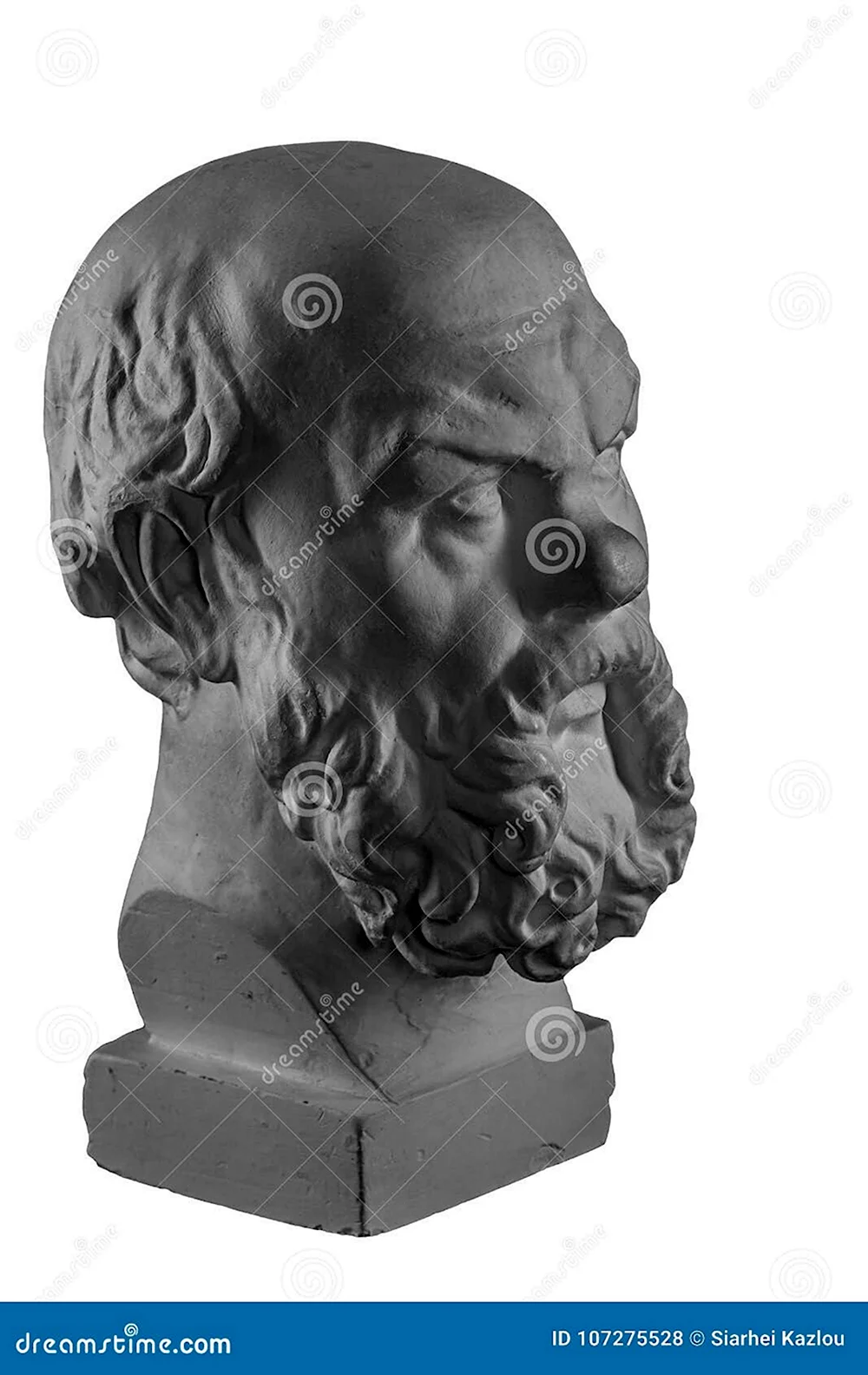 Plaster Bust of Socrates