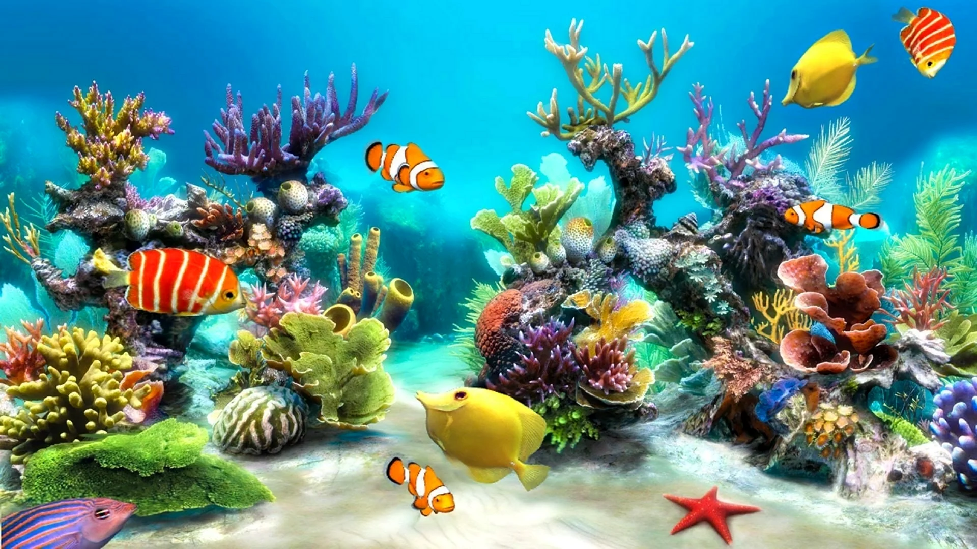 Подводный мир аквариума