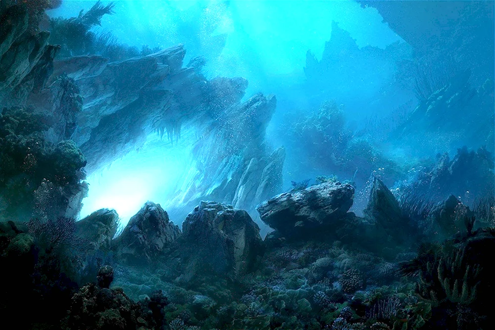 Подводный пейзаж