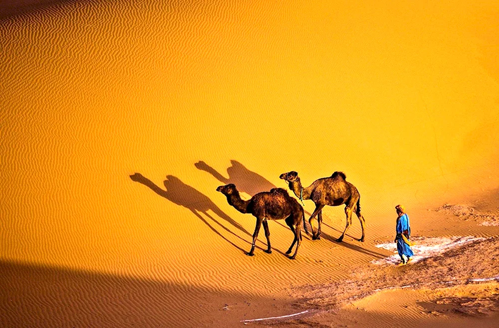 Поленов Караван в Аравийской пустыне