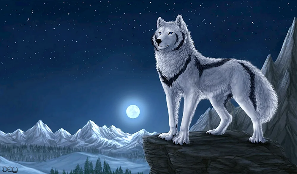 Полярный волк арт