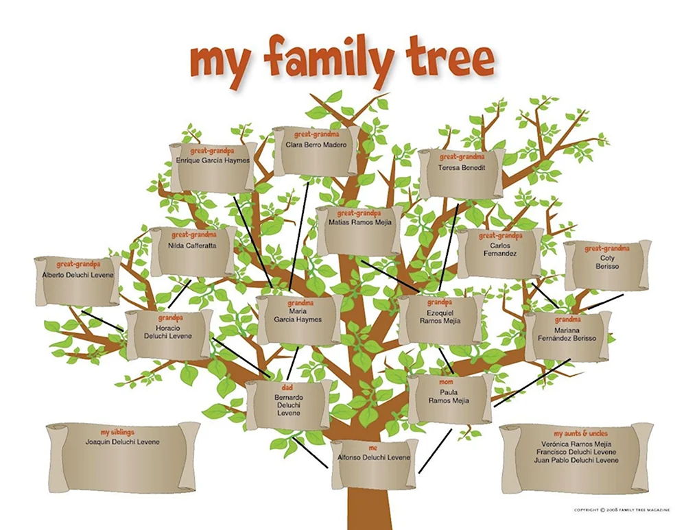 Построение семейного дерева
