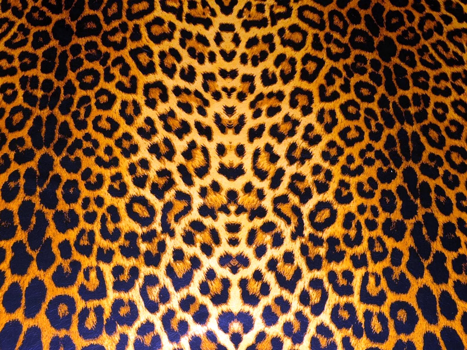 Принт Ягуар гепард леопард
