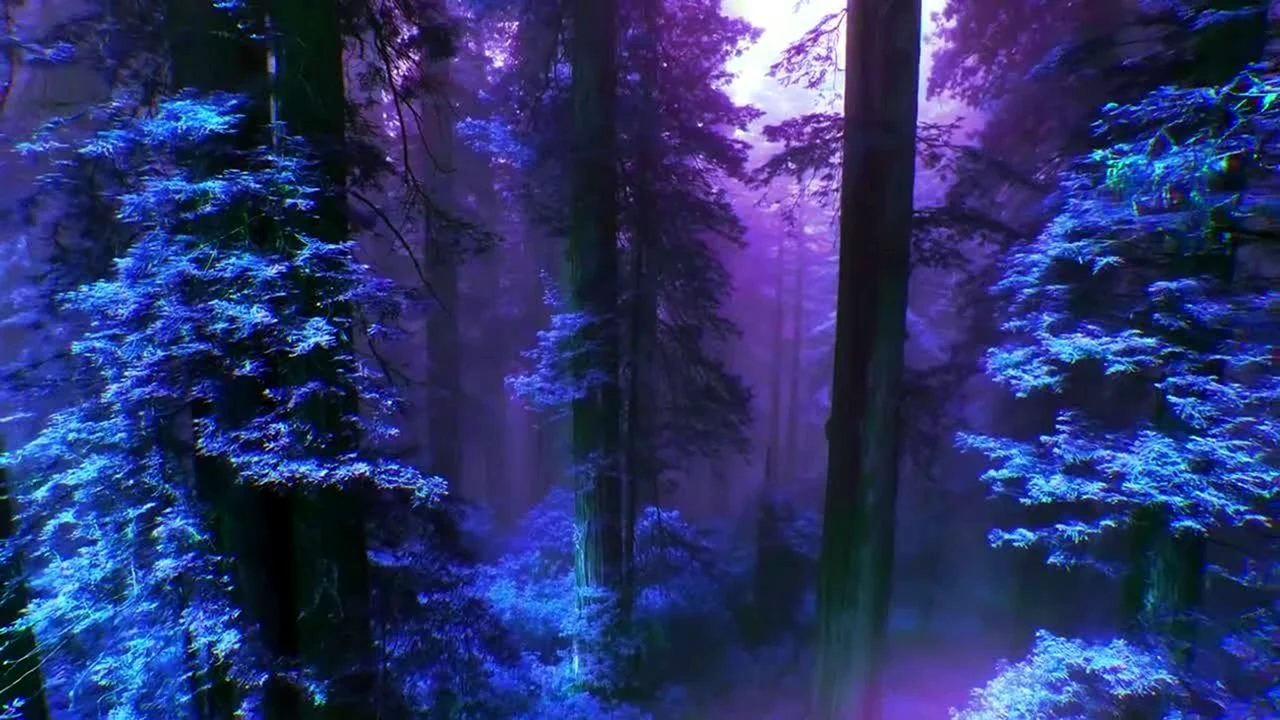 Природа фиолетовая Эстетика