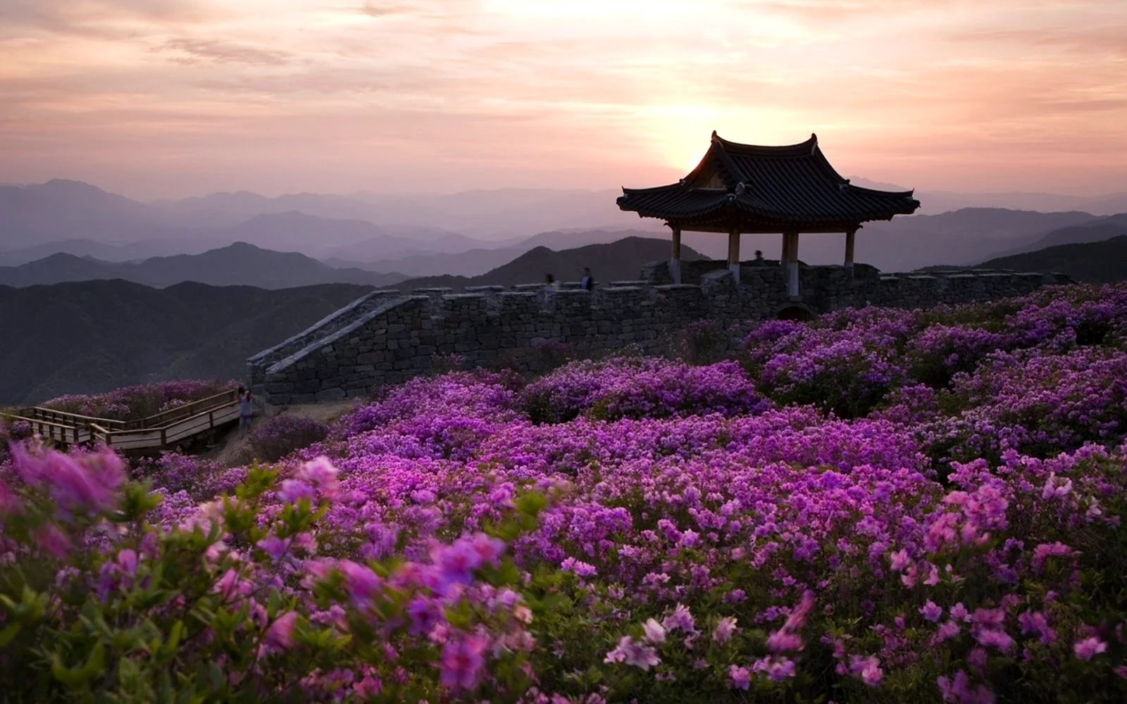 Природа в Корее Сеул