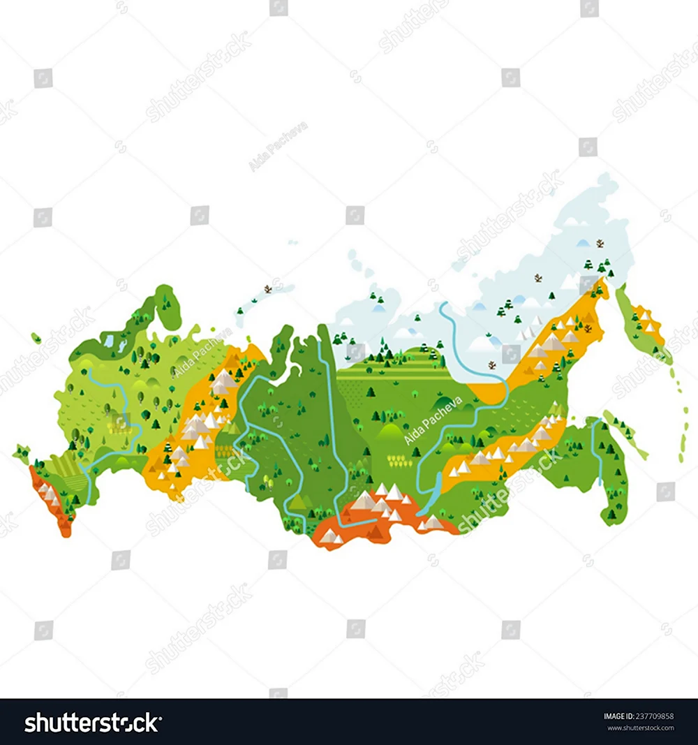 Природные зоны России вектор