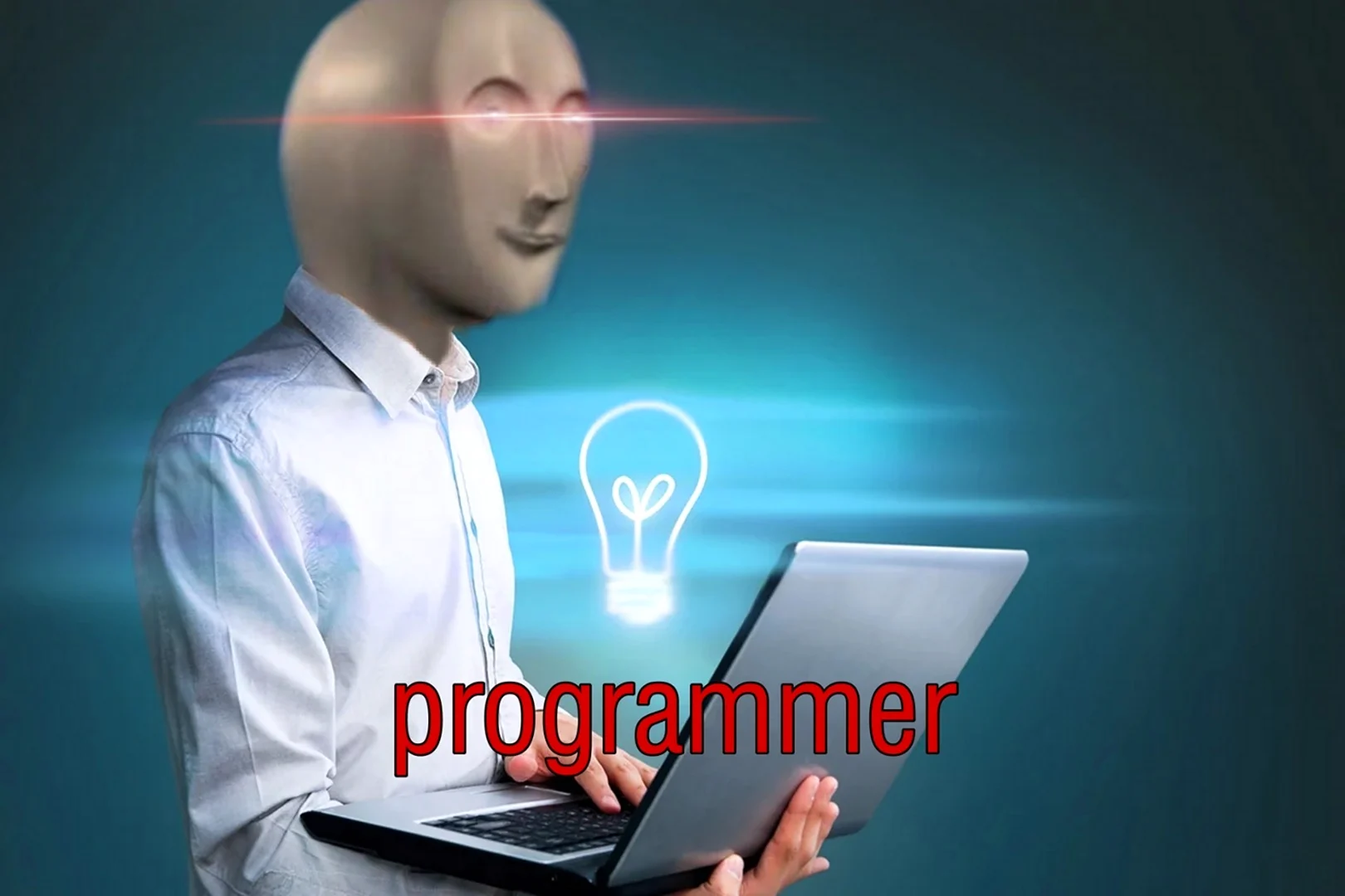 Programmer Мем