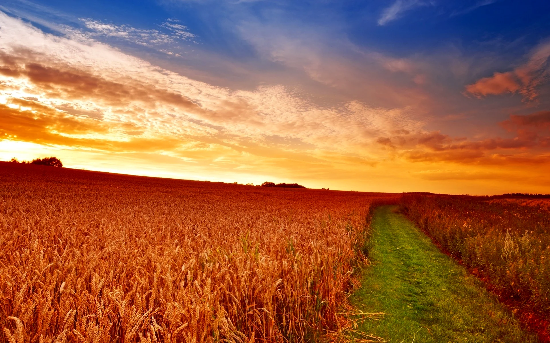 «Пшеничное поле — Противостояние» Нью-Йорк США