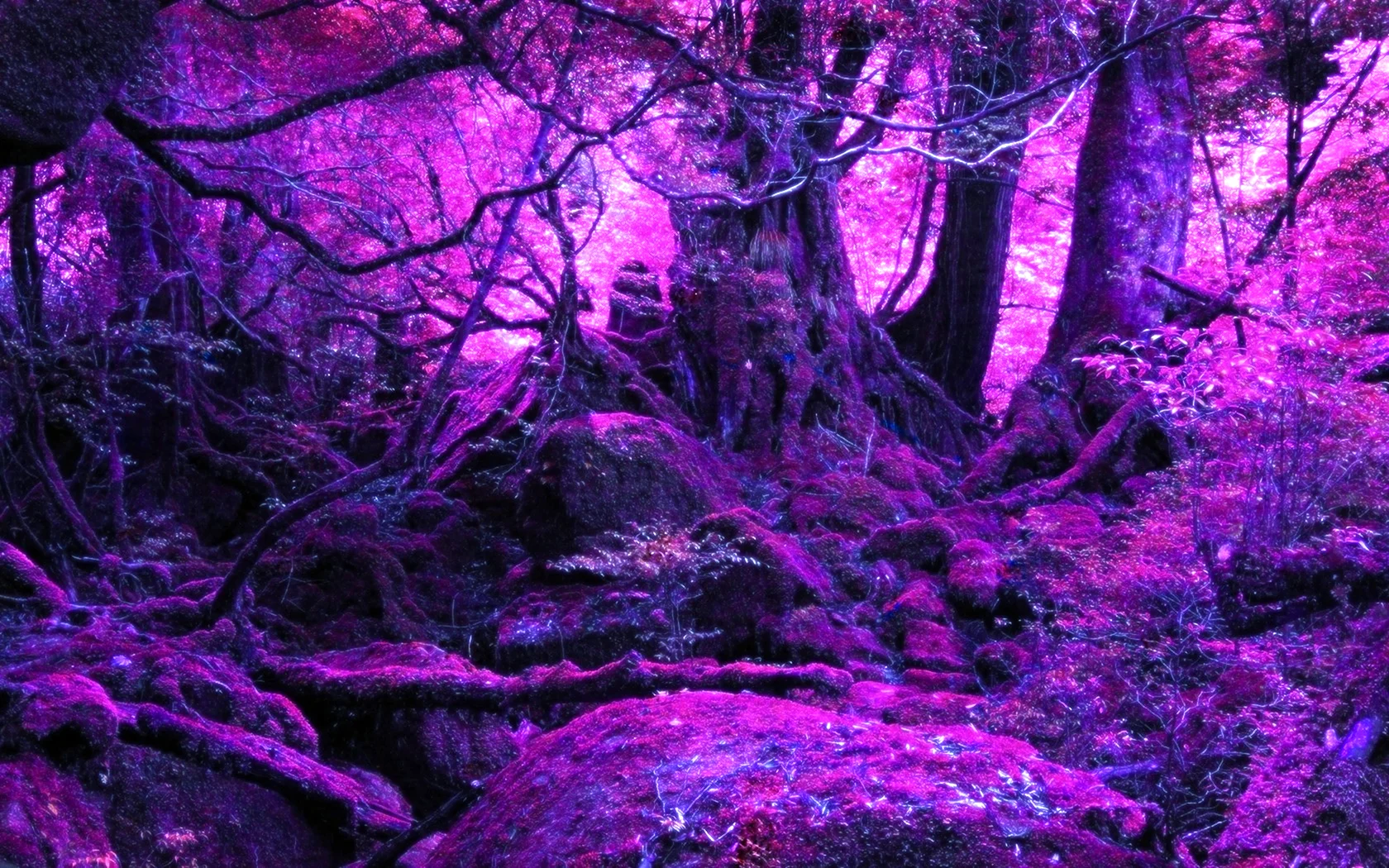 Пурпурный лес