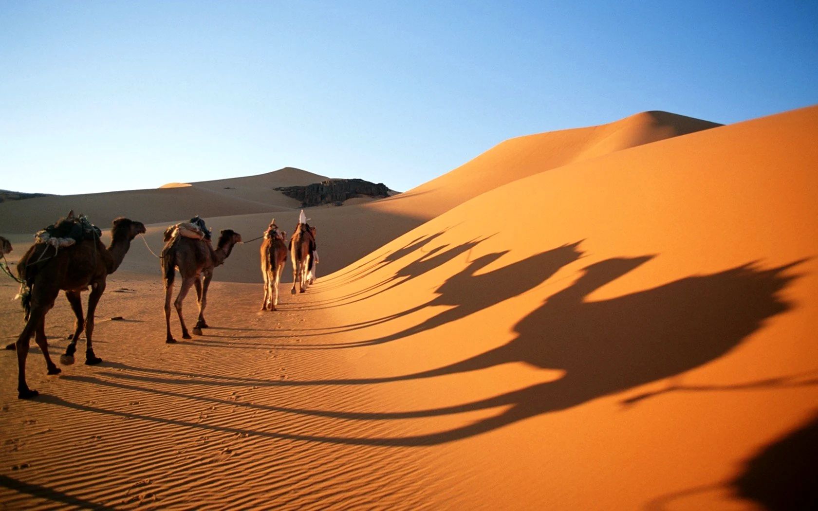 Пустыни в арабских Эмиратах