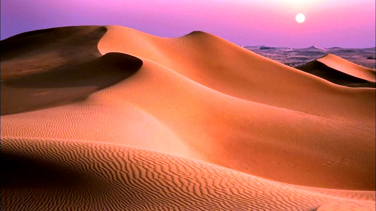Пустыня Барханы Оазис