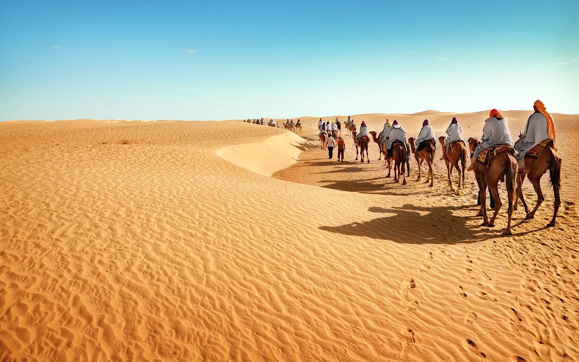 Пустыня и верблюд в Мекке