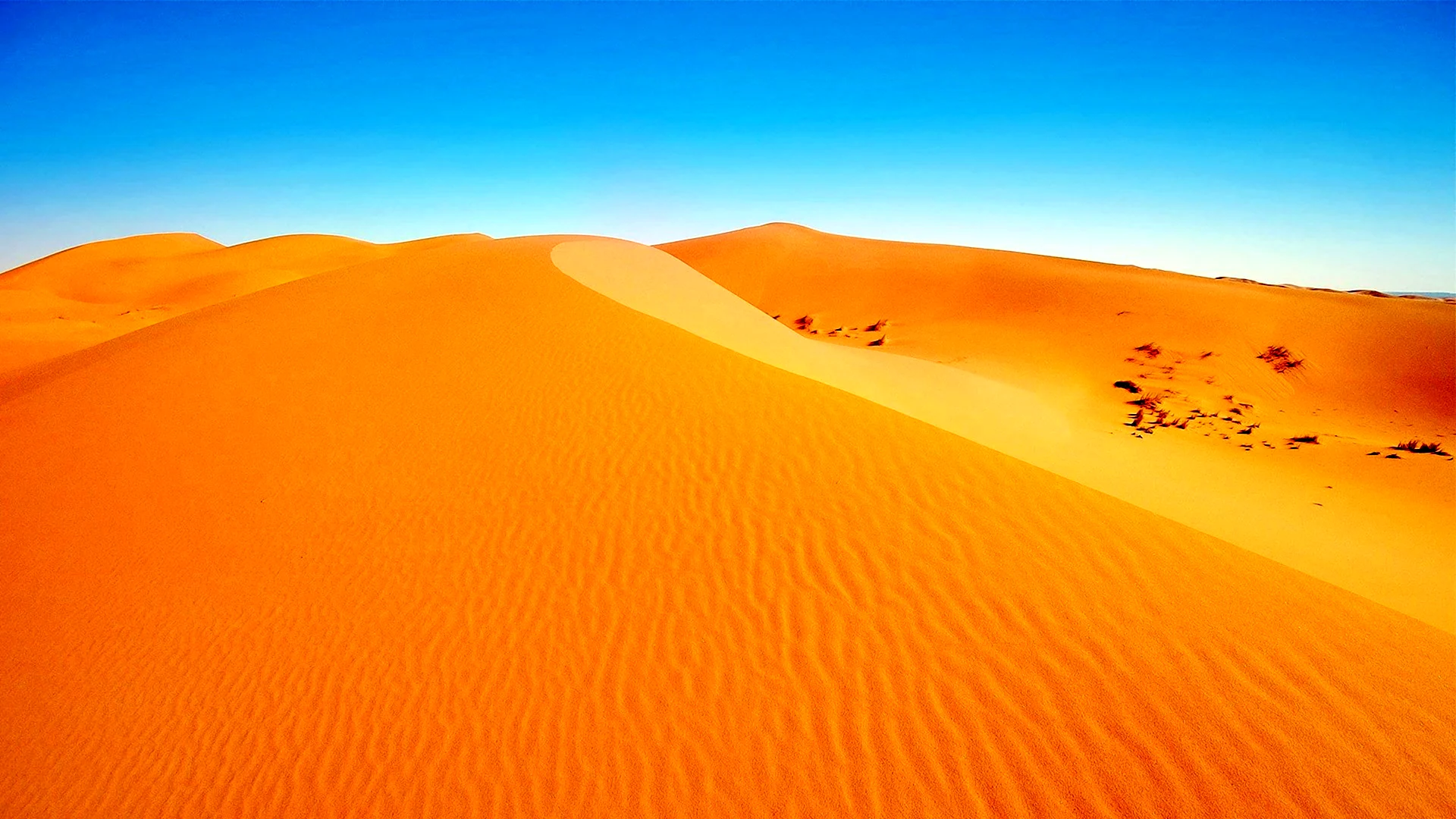 Пустыня Огаден