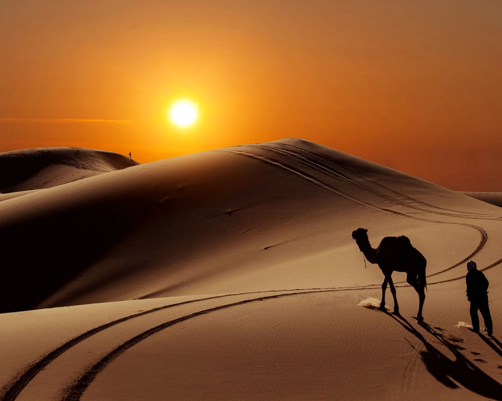 Пустыня сахара верблюд пейзаж