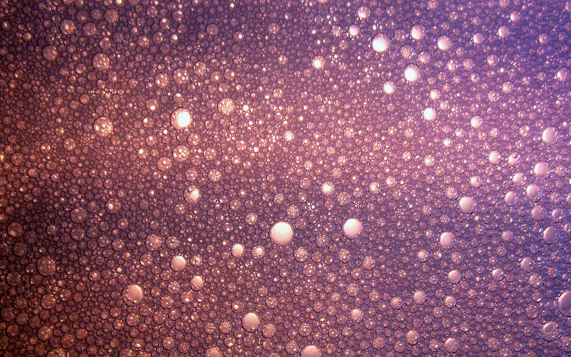 Пузырьки розовые текстура