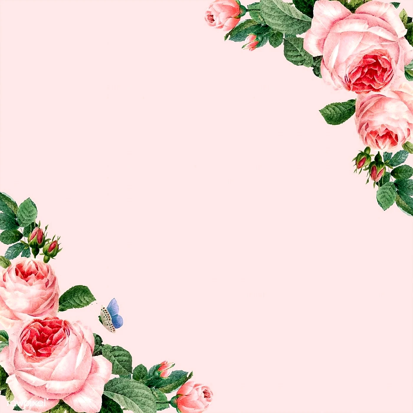 Рамка с розовыми цветами