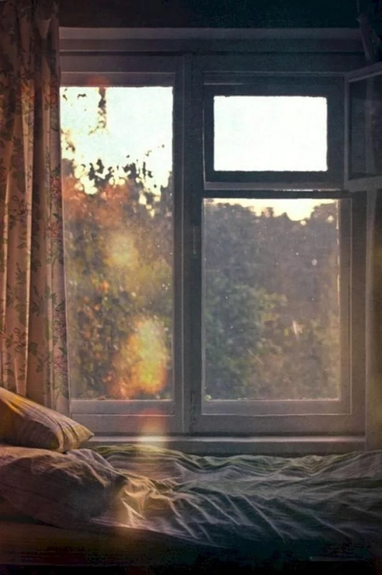 Раннее утро в окне