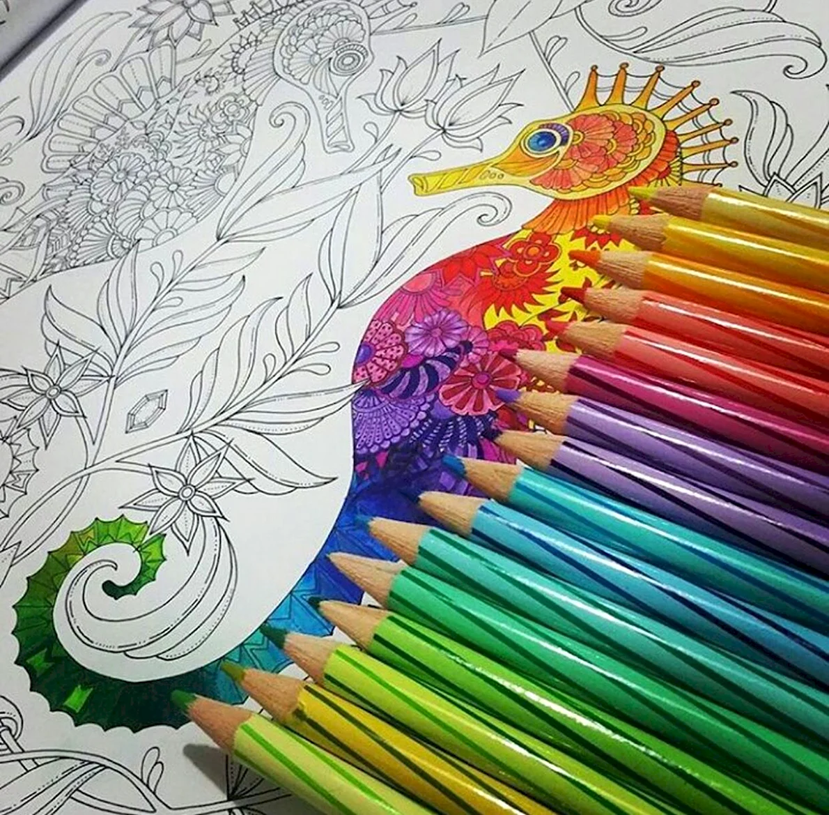 Раскрашивание цветными карандашами